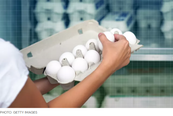 Carton of Eggs