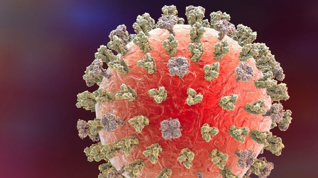 H5N1 Red Spike